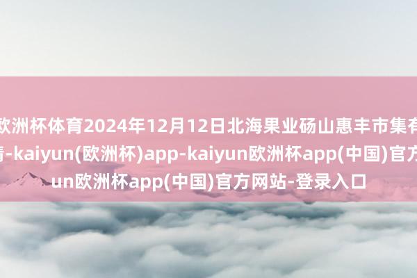 欧洲杯体育2024年12月12日北海果业砀山惠丰市集有限公司价钱行情-kaiyun(欧洲杯)app-kaiyun欧洲杯app(中国)官方网站-登录入口