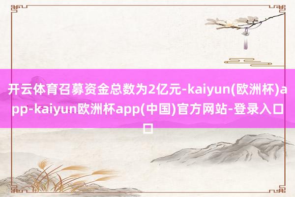 开云体育召募资金总数为2亿元-kaiyun(欧洲杯)app-kaiyun欧洲杯app(中国)官方网站-登录入口