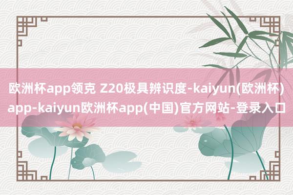 欧洲杯app领克 Z20极具辨识度-kaiyun(欧洲杯)app-kaiyun欧洲杯app(中国)官方网站-登录入口