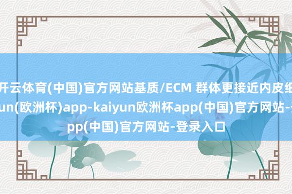 开云体育(中国)官方网站基质/ECM 群体更接近内皮细胞-kaiyun(欧洲杯)app-kaiyun欧洲杯app(中国)官方网站-登录入口