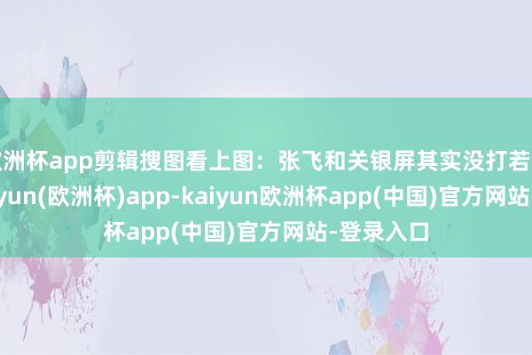 欧洲杯app剪辑搜图看上图：张飞和关银屏其实没打若干伤害-kaiyun(欧洲杯)app-kaiyun欧洲杯app(中国)官方网站-登录入口