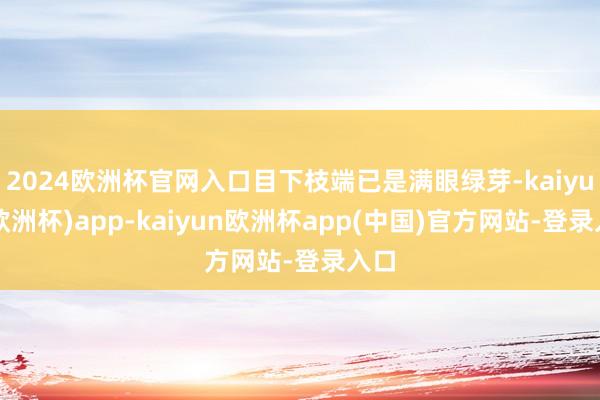 2024欧洲杯官网入口目下枝端已是满眼绿芽-kaiyun(欧洲杯)app-kaiyun欧洲杯app(中国)官方网站-登录入口