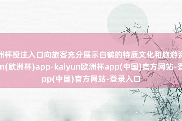 欧洲杯投注入口向旅客充分展示白鹤的特质文化和旅游资源-kaiyun(欧洲杯)app-kaiyun欧洲杯app(中国)官方网站-登录入口