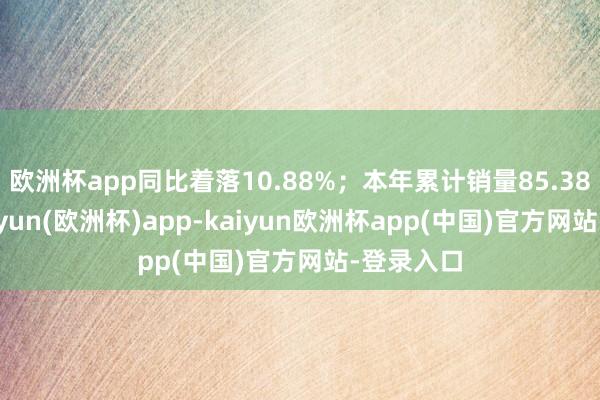 欧洲杯app同比着落10.88%；本年累计销量85.38万台-kaiyun(欧洲杯)app-kaiyun欧洲杯app(中国)官方网站-登录入口