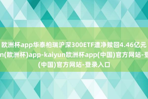 欧洲杯app华泰柏瑞沪深300ETF遭净赎回4.46亿元-kaiyun(欧洲杯)app-kaiyun欧洲杯app(中国)官方网站-登录入口