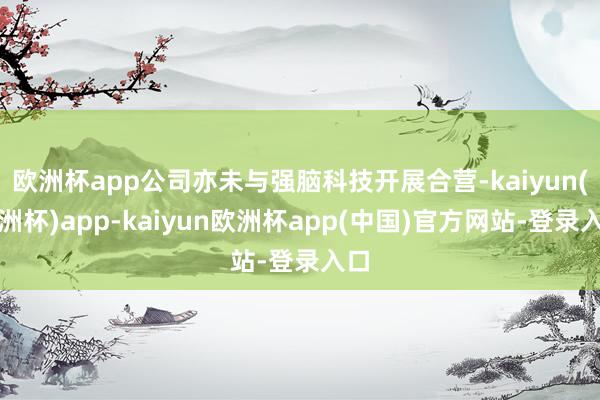 欧洲杯app公司亦未与强脑科技开展合营-kaiyun(欧洲杯)app-kaiyun欧洲杯app(中国)官方网站-登录入口