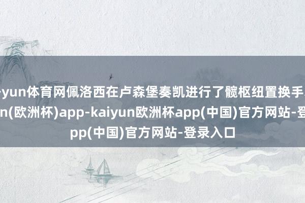 开yun体育网佩洛西在卢森堡奏凯进行了髋枢纽置换手术-kaiyun(欧洲杯)app-kaiyun欧洲杯app(中国)官方网站-登录入口