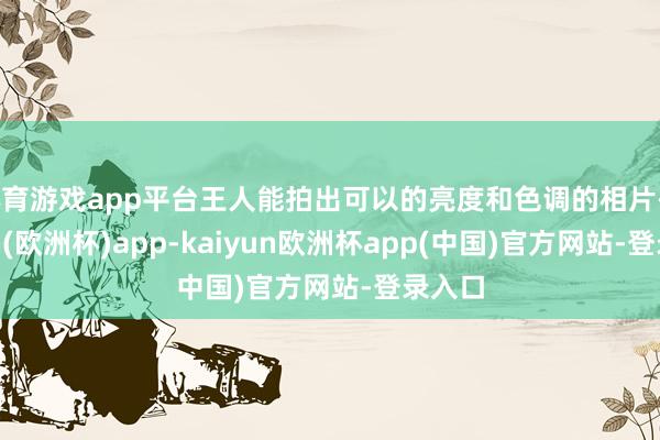 体育游戏app平台王人能拍出可以的亮度和色调的相片-kaiyun(欧洲杯)app-kaiyun欧洲杯app(中国)官方网站-登录入口