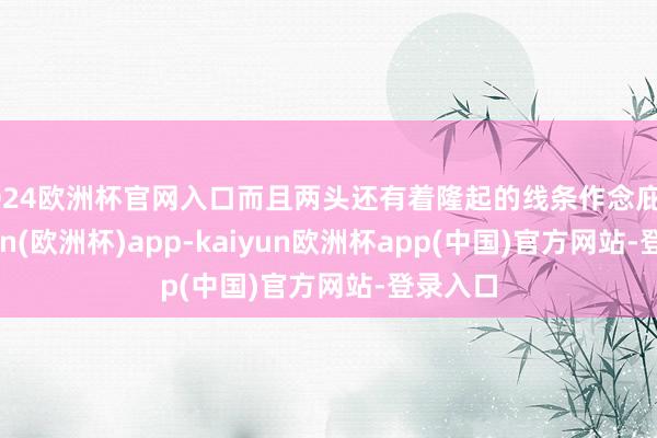 2024欧洲杯官网入口而且两头还有着隆起的线条作念庇荫-kaiyun(欧洲杯)app-kaiyun欧洲杯app(中国)官方网站-登录入口
