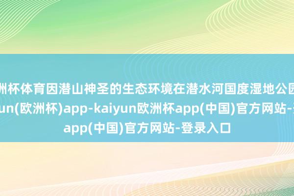 欧洲杯体育因潜山神圣的生态环境在潜水河国度湿地公园停歇-kaiyun(欧洲杯)app-kaiyun欧洲杯app(中国)官方网站-登录入口