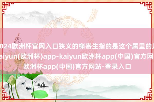 2024欧洲杯官网入口狭义的槲寄生指的是这个属里的几个常见种-kaiyun(欧洲杯)app-kaiyun欧洲杯app(中国)官方网站-登录入口