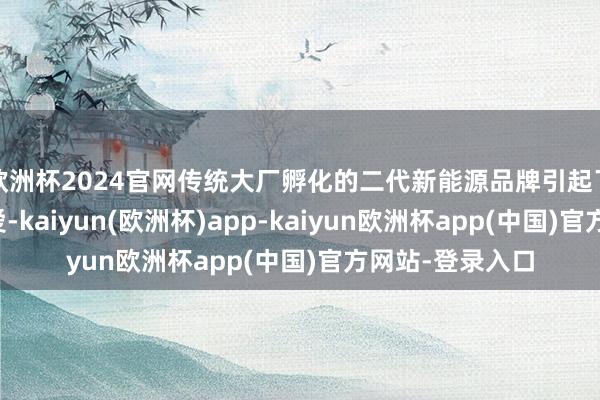 欧洲杯2024官网传统大厂孵化的二代新能源品牌引起了消耗者高度关爱-kaiyun(欧洲杯)app-kaiyun欧洲杯app(中国)官方网站-登录入口