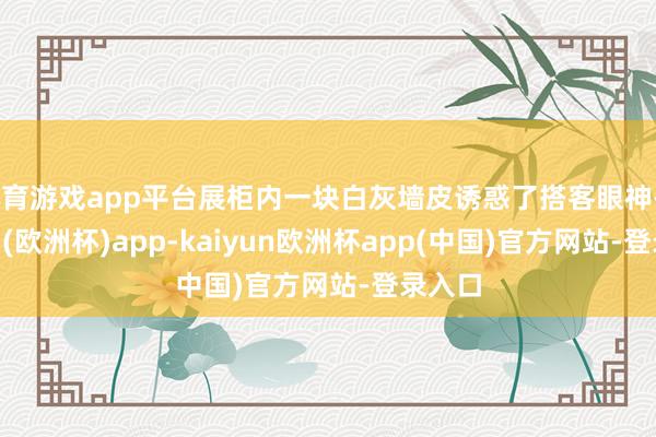 体育游戏app平台展柜内一块白灰墙皮诱惑了搭客眼神-kaiyun(欧洲杯)app-kaiyun欧洲杯app(中国)官方网站-登录入口