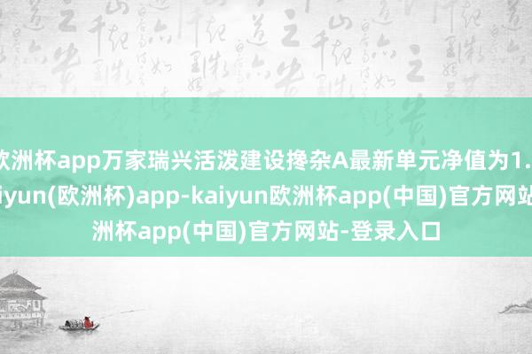 欧洲杯app万家瑞兴活泼建设搀杂A最新单元净值为1.0017元-kaiyun(欧洲杯)app-kaiyun欧洲杯app(中国)官方网站-登录入口