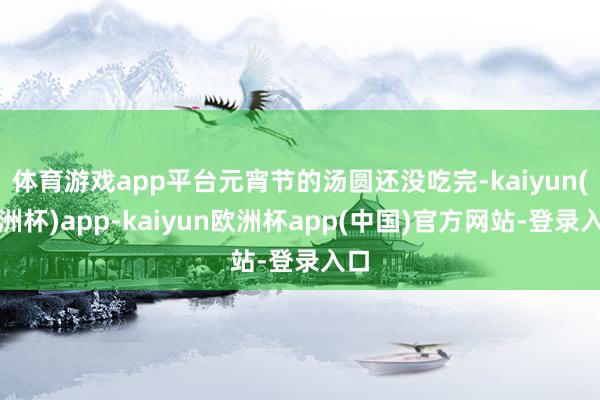 体育游戏app平台元宵节的汤圆还没吃完-kaiyun(欧洲杯)app-kaiyun欧洲杯app(中国)官方网站-登录入口
