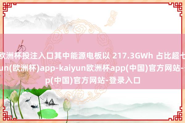 欧洲杯投注入口其中能源电板以 217.3GWh 占比超七成-kaiyun(欧洲杯)app-kaiyun欧洲杯app(中国)官方网站-登录入口