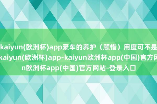 kaiyun(欧洲杯)app豪车的养护（顾惜）用度可不是诳（kuang-kaiyun(欧洲杯)app-kaiyun欧洲杯app(中国)官方网站-登录入口