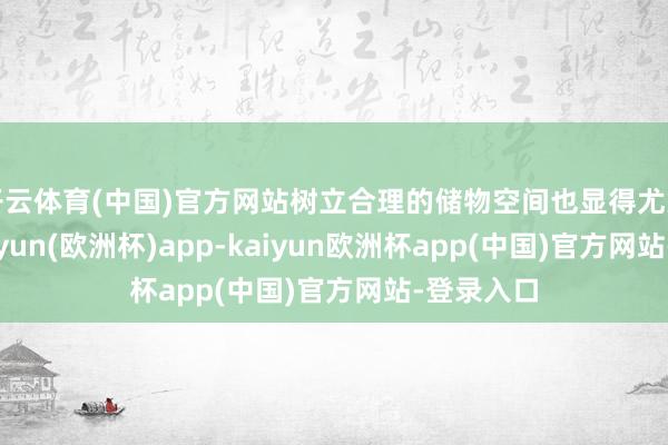 开云体育(中国)官方网站树立合理的储物空间也显得尤为迫切-kaiyun(欧洲杯)app-kaiyun欧洲杯app(中国)官方网站-登录入口