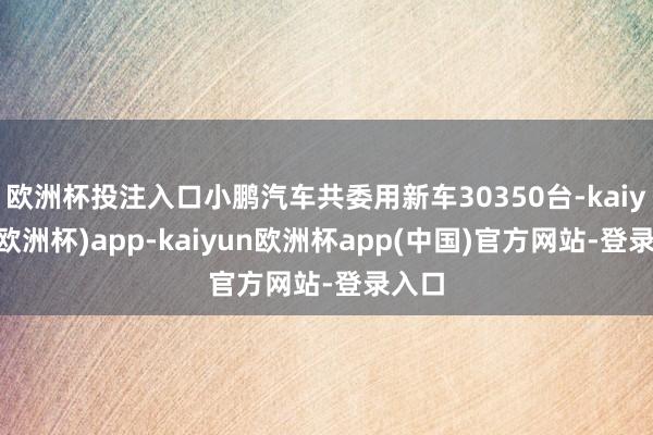 欧洲杯投注入口小鹏汽车共委用新车30350台-kaiyun(欧洲杯)app-kaiyun欧洲杯app(中国)官方网站-登录入口