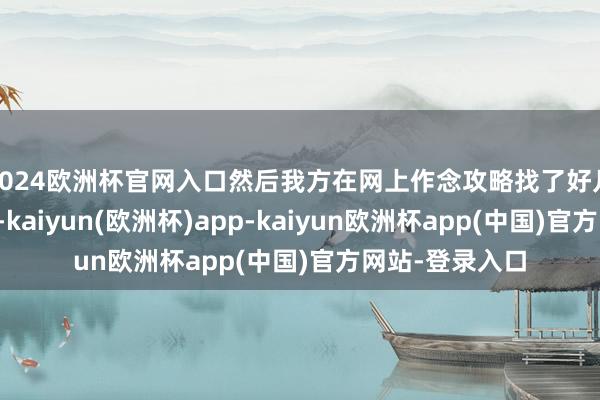 2024欧洲杯官网入口然后我方在网上作念攻略找了好几家当地团对比-kaiyun(欧洲杯)app-kaiyun欧洲杯app(中国)官方网站-登录入口