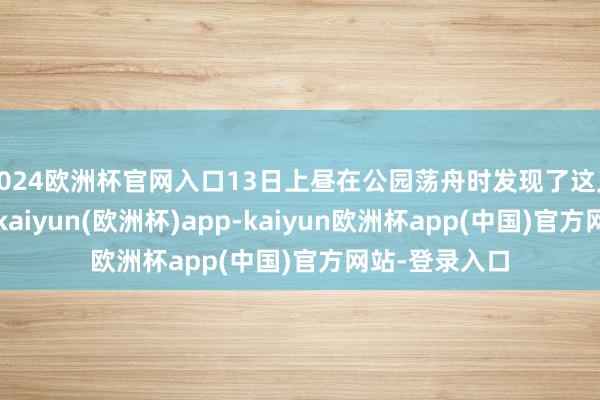 2024欧洲杯官网入口13日上昼在公园荡舟时发现了这只受伤的大鹅-kaiyun(欧洲杯)app-kaiyun欧洲杯app(中国)官方网站-登录入口