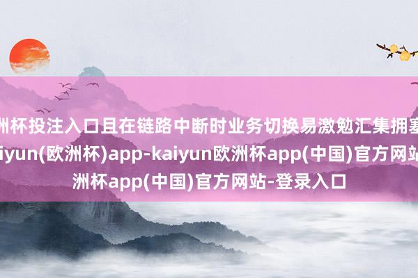 欧洲杯投注入口且在链路中断时业务切换易激勉汇集拥塞致使中断-kaiyun(欧洲杯)app-kaiyun欧洲杯app(中国)官方网站-登录入口