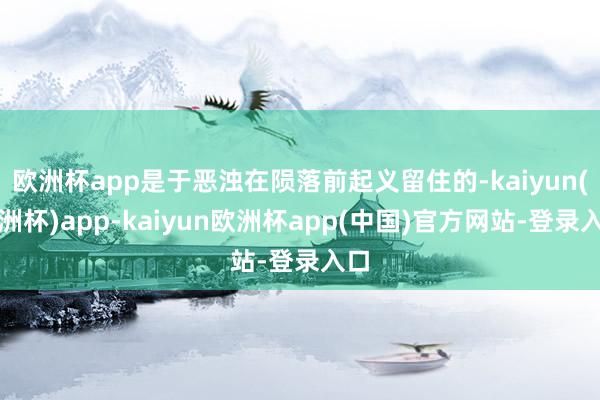 欧洲杯app是于恶浊在陨落前起义留住的-kaiyun(欧洲杯)app-kaiyun欧洲杯app(中国)官方网站-登录入口