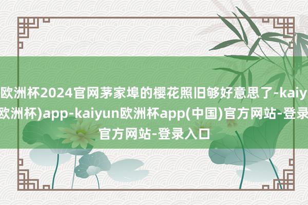 欧洲杯2024官网茅家埠的樱花照旧够好意思了-kaiyun(欧洲杯)app-kaiyun欧洲杯app(中国)官方网站-登录入口